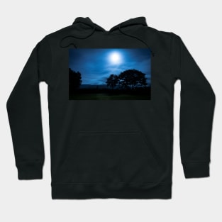 Beacons dance in the moonlight - 2013 Hoodie